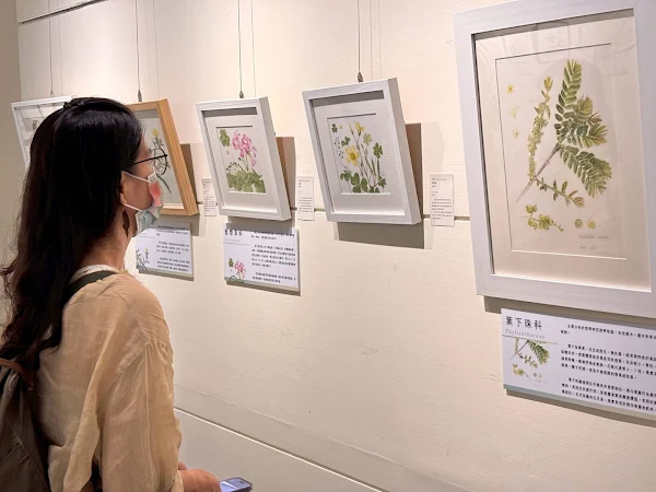 ▲「2025全球植物學藝術大展-台灣場」展覽一景。（頂新和德文教基金會提供）