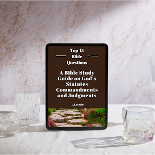 Bible study guide