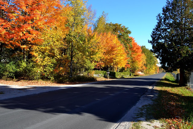 Bass Lake Sideroad just outside of Orillia city, properly in the township of Oro-Medonte.