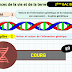 Télécharger | cours  | 2ème BAC SVT Biof | Notion et nature de l’information génétique #9