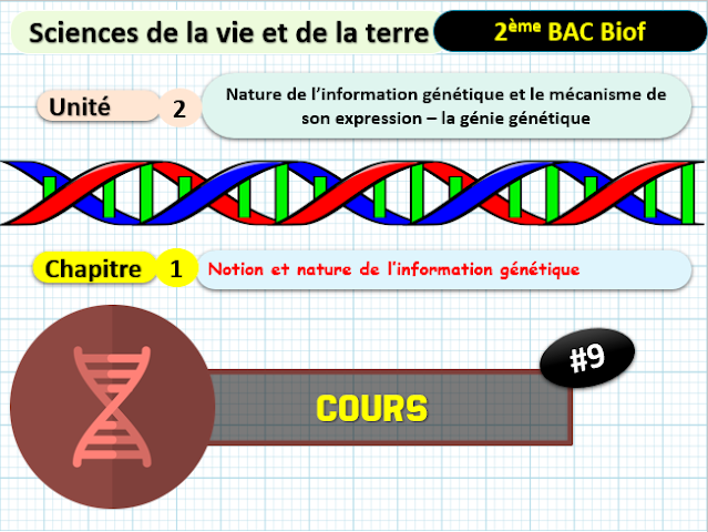 Télécharger | cours  | 2ème BAC SVT Biof | Notion et nature de l’information génétique #9