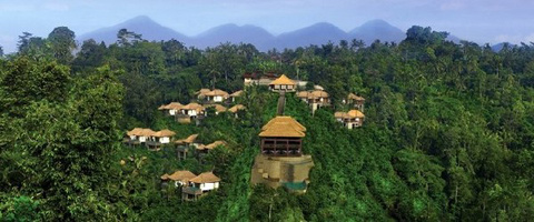 Infinity Pools at Ubud Hanging Gardens 9 تعرف على حدائق اوبود المعلقة ذات المستويات المتعددة  صور 