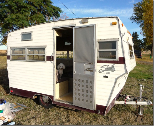 ms daisy 018