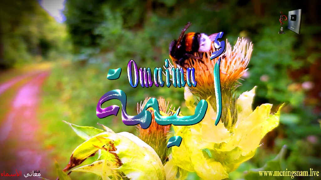 معنى اسم, أميمة, وصفات, حاملة, هذا الاسم, Omaima,