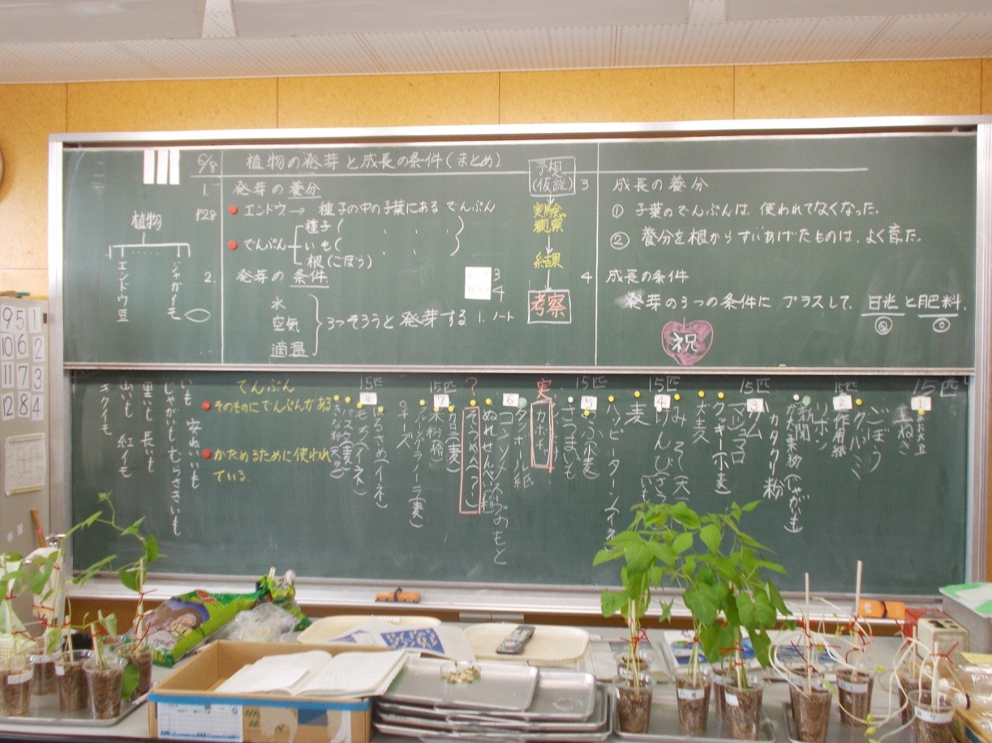 板書ノート 植物の発芽 成長