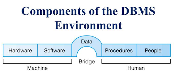 What are the Components of DBMS?