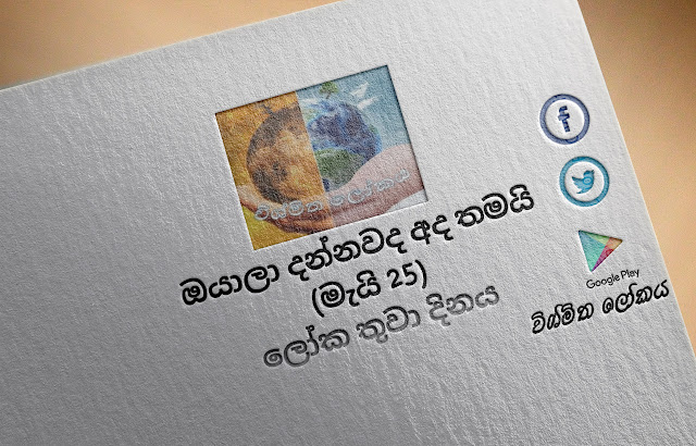 දවසේ වැදගත්කම - මැයි 25 ලෝක තුවා දිනය  (Significance Of The Day - May 25 World Towel Day) - Your Choice Way