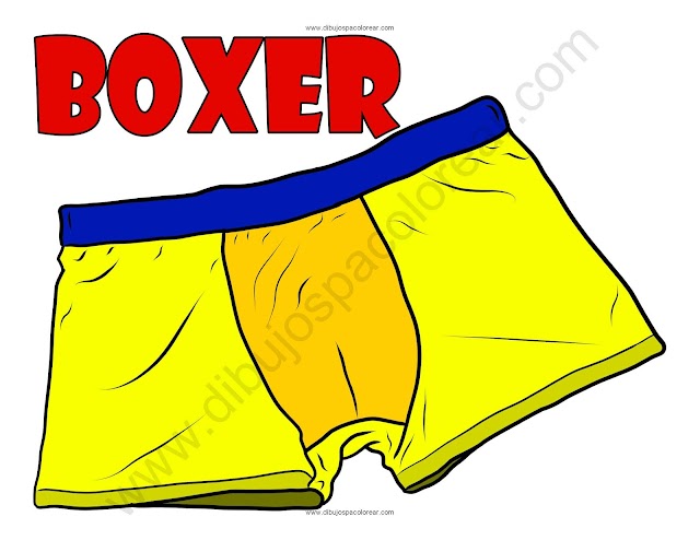 Boxer dibujo a color y para colorear