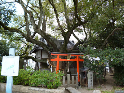 うつぼ楠永神社