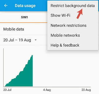 Restrict background data