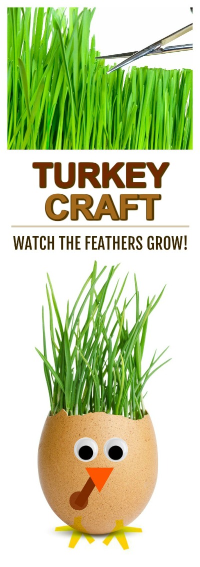 FUN KID PROJECT:  Grow your own turkey feathers and then cut & style them! (Turkey planter craft for kids)  #turkeycrafts #kidscrafts #thanksgivingcrafts