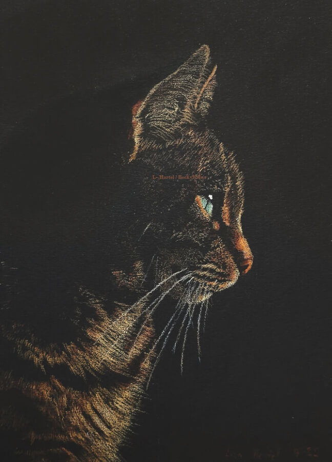 Using coloured pencils on black paper