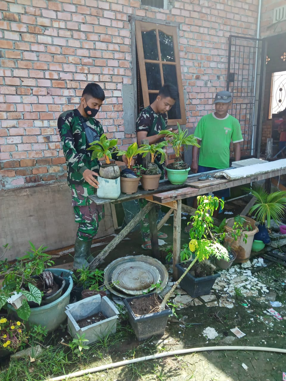 Satgas TMMD antusias melihat budidaya bonsai kelapa di kampung Jawi.