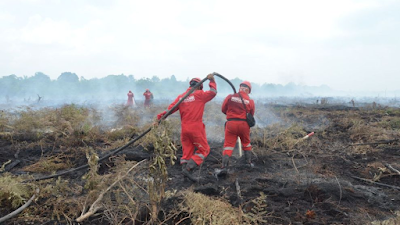 4 Daerah di Riau Telah Tetapkan Status Siaga Karhutla