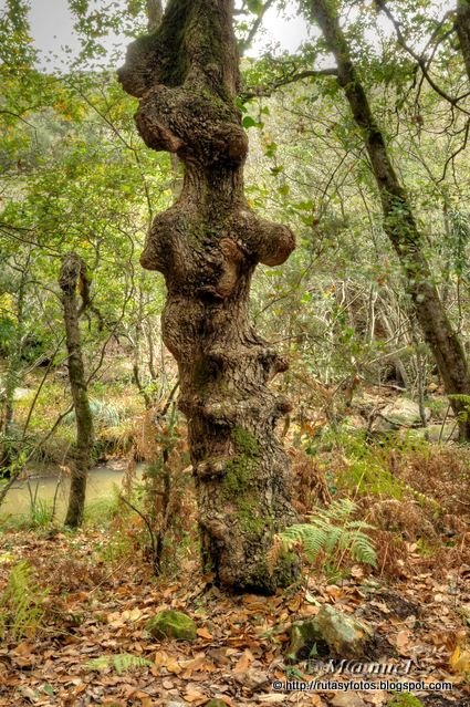 Garganta de Valdeinfierno