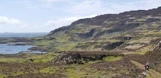 Walking on Ulva