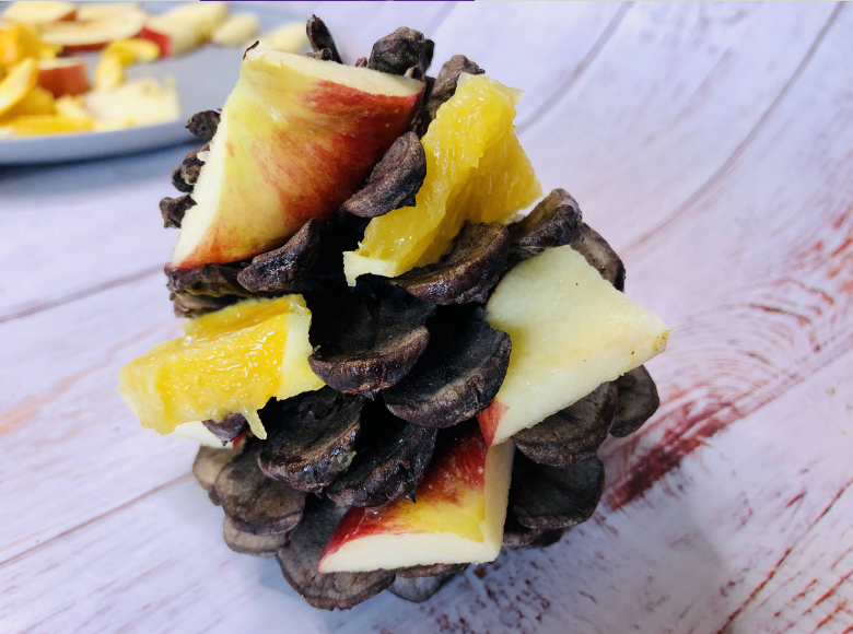 pine cone bird feeder with fruit