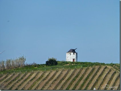 P1080504