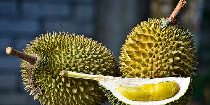 Ini Perbedaan Durian Petruk, Durian Monthong, dan Durian Medan