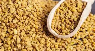 Fenugreek (Methi seeds) - Health- Benefits