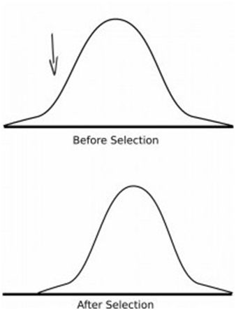 Contoh Soal Evolusi Dan Jawaban - Contoh O