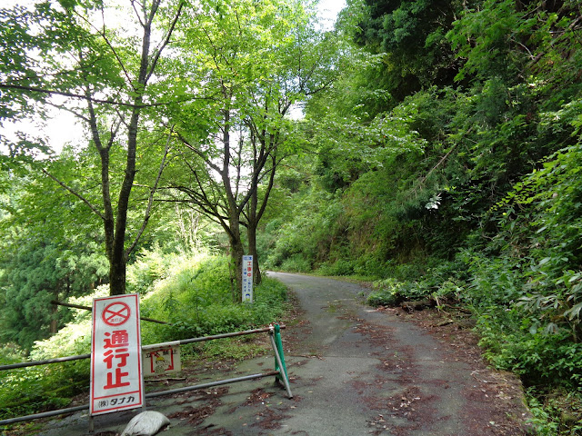 鎌倉山グリーンラインはまだ先に続きます