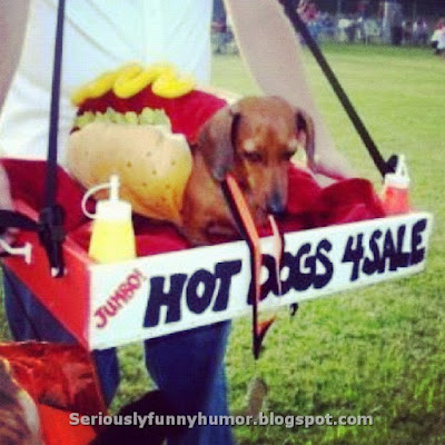 Hot Dogs 4 Sale!