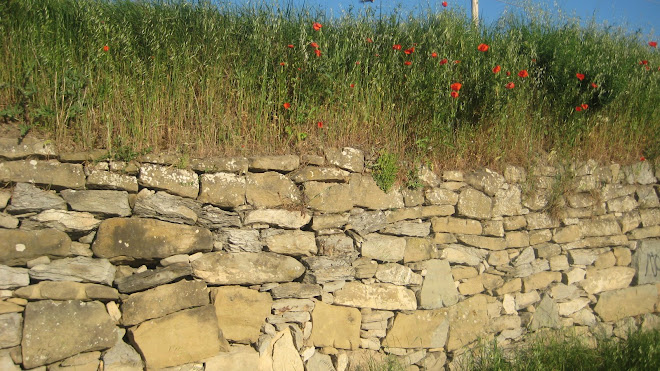 Paret d'en Massana