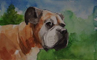 Boxer, Dog, Boxer Dog, Painting, Watercolor, Watercolour, Watercolor painting, Animal, Nature, Pets, Wildlife, Fine Arts, Interior Design, Rick Paller, Artist Rick Paller