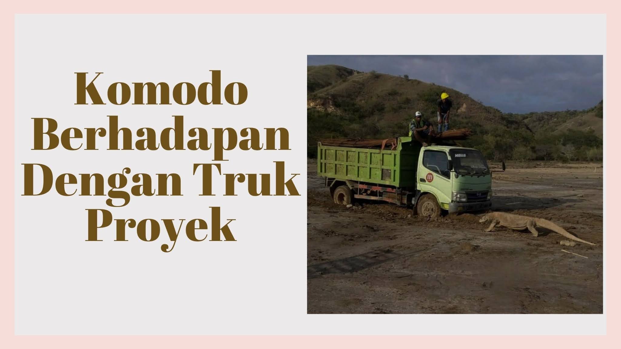 komodo berhadapan dengan truk proyek