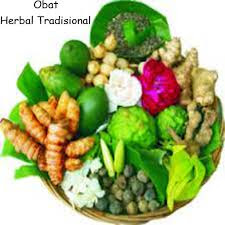 Obat herbal kutil kelamin