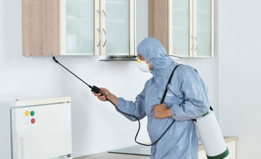 Quality Pest Control dubai