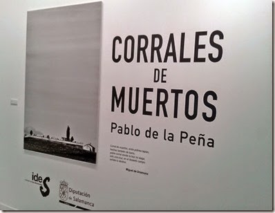 2014-10-21 12.47.56