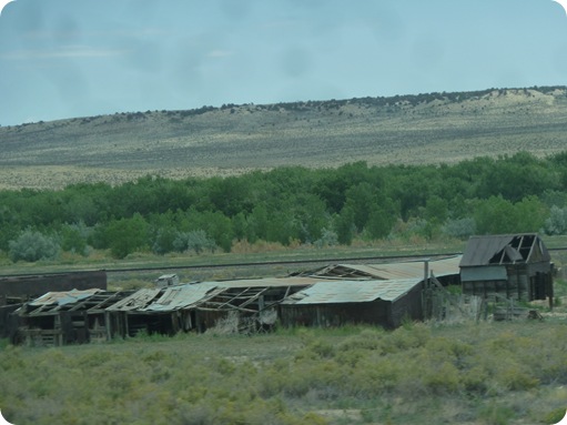 From Menkhaven Park to Colorado Springs 031