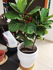 50+ Pokok Hiasan Dalam Rumah Ikea, Paling Top!