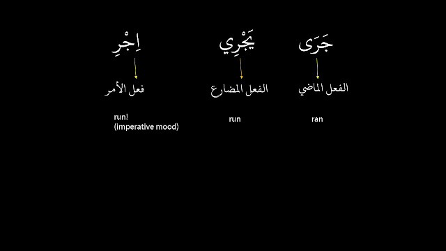 verb run conjugation in Arabic