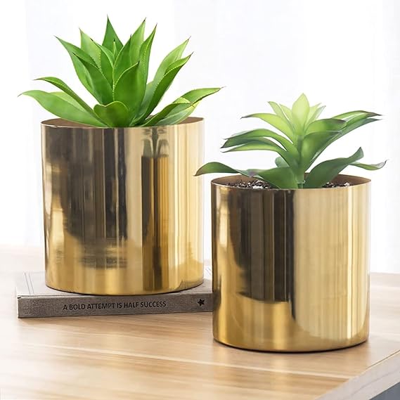 Modern Cylindrical Ceramic Plant Pot Enhancing Living Room Decor with Minimalist Elegance