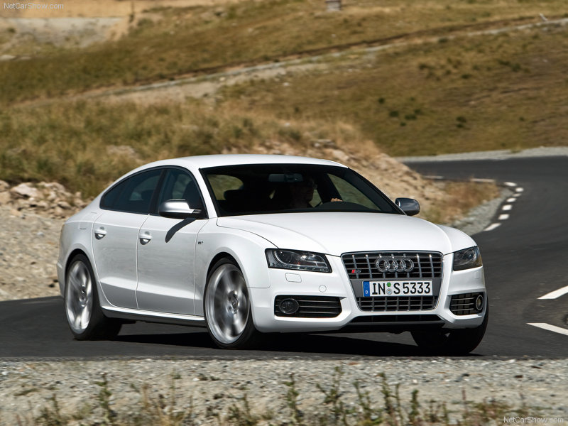 2011 Audi S5 Sport Cars