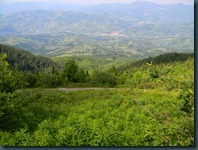 DSCN8090