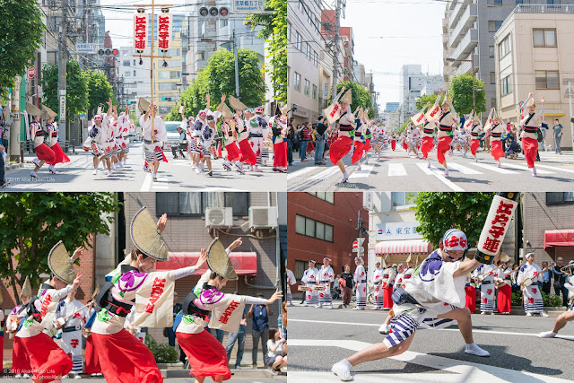 江戸っ子連、マロニエ祭りでの阿波踊りの写真