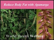 Reduce Body Fat with Apamarga