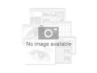 Rsm advanced (4 camera license)