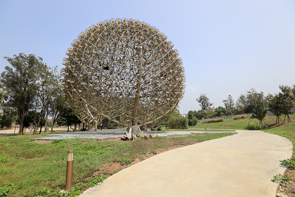 台中后里森林公園重新開放，聆聽花開的聲音機械花、四口之家好好拍