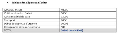 Tableau des dépenses à l'achat d'un cheval.