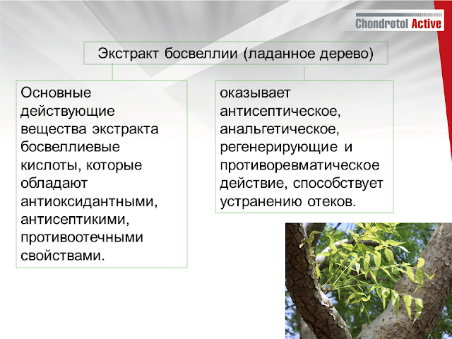 Артлайф Беларусь в Гомеле, Минске, Бресте, Могилеве, Витебске, Гродно