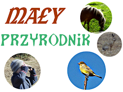 http://www.kreatywnymokiem.pl/2015/07/may-przyrodnik-poczuj-przyrode.html