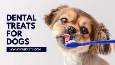 Dental Treats for Dogs