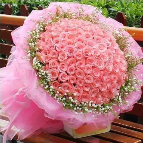 Beautiful Flower Quote Dp Images - Whatsapp Images