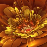 Abstract Flowers Wallpapers