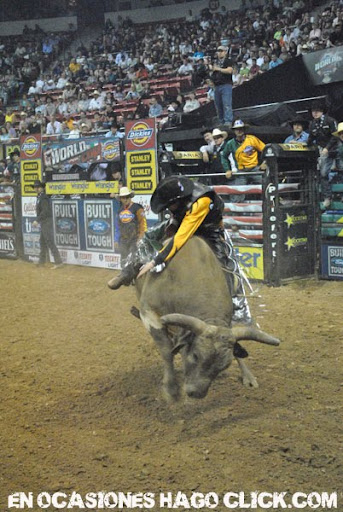 PBR World Finals Cowboys Las Vegas